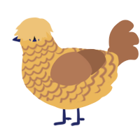 A honey and brown chicken with a lace pattern