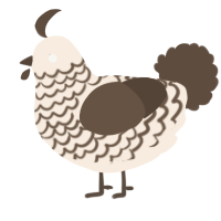 A cream and bark chicken with a lace pattern