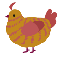 A ochre and red chicken with a bar pattern