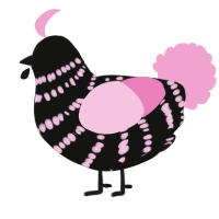 A black and pink chicken with a bar pattern