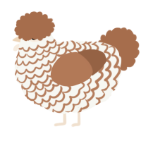 A white and brown chicken with a lace pattern