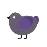 (unnamed), a grey and overcast chicken with a lace pattern