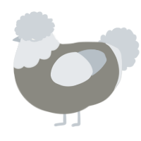 A ash and mist chicken with a head pattern