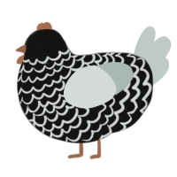 A black and silver chicken with a lace pattern