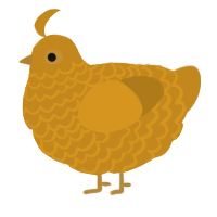 A ochre chicken with a lace pattern