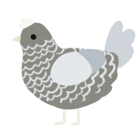 A ash and mist chicken with a lace pattern