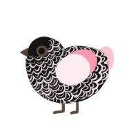 Dr Beaumont, a black and rose chicken with a double-lace pattern