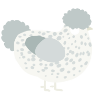 A white and silver chicken with a speckle pattern