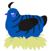 A ultramarine and sable chicken with a half-bar pattern