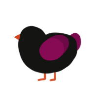 scene qween, a black and wine chicken