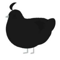 A sable chicken with a lace pattern
