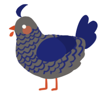 A grey and navy chicken with a lace pattern