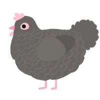 A grey chicken with a lace pattern