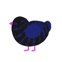 Tripping Down Stairs, a sable and navy chicken with a bar pattern