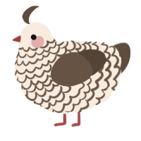 A cream and bark chicken with a lace pattern