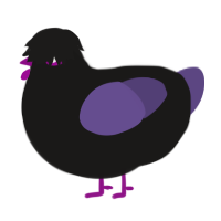 A sable and overcast chicken