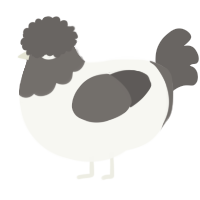 A white and grey chicken with a head pattern
