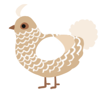 A beige and cream chicken with a lace pattern