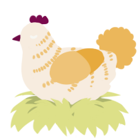 A cream and honey chicken with a half-bar pattern