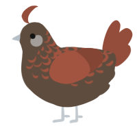 A bark and russet chicken with a half-lace pattern