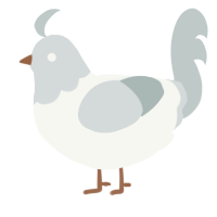 A white and silver chicken with a head pattern