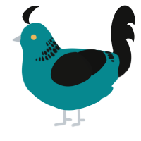 A teal and black chicken with a neck-band pattern
