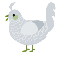 A mist chicken with a lace pattern