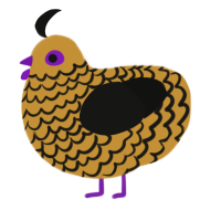 Bumbler, a gold and black chicken with a lace pattern