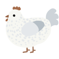 A white and mist chicken with a speckle pattern