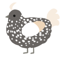 A grey and cream chicken with a speckle pattern