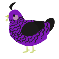 A violet and sable chicken with a lace pattern