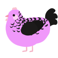 A lavender and sable chicken with a half-lace pattern