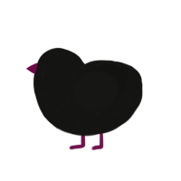 A black chicken with a speckle pattern