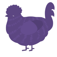 A overcast chicken with a bar pattern