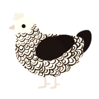 Silver Springs, a rose and black chicken with a double-lace pattern