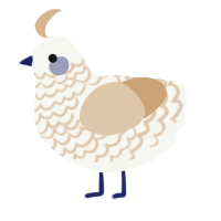 A white and beige chicken with a lace pattern