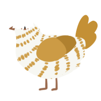 A white and gold chicken with a bar pattern