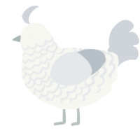 A white and mist chicken with a lace pattern