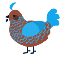 A russet and sky chicken with a lace pattern