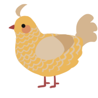 A honey and beige chicken with a lace pattern