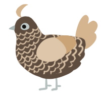 A bark and beige chicken with a lace pattern