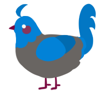 A grey and sapphire chicken with a head pattern