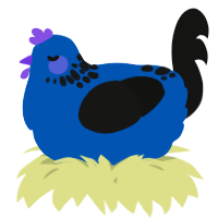 A ultramarine and black chicken with a neck-speckle pattern