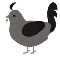 A grey and sable chicken
