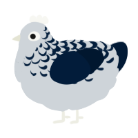 A mist and tumblr chicken with a half-lace pattern