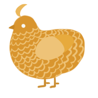 A orange and honey chicken with a lace pattern