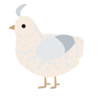 A cream and mist chicken with a speckle pattern