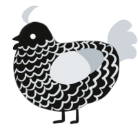 A black and mist chicken with a lace pattern