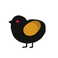 A black and ochre chicken