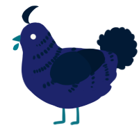 A navy and tumblr chicken with a half-bar pattern